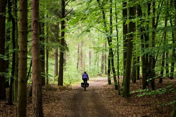 Fahrrad-Ausflug