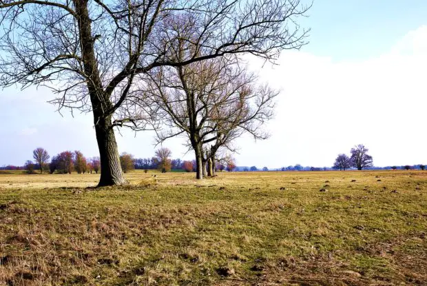 Fahrradtour Winter