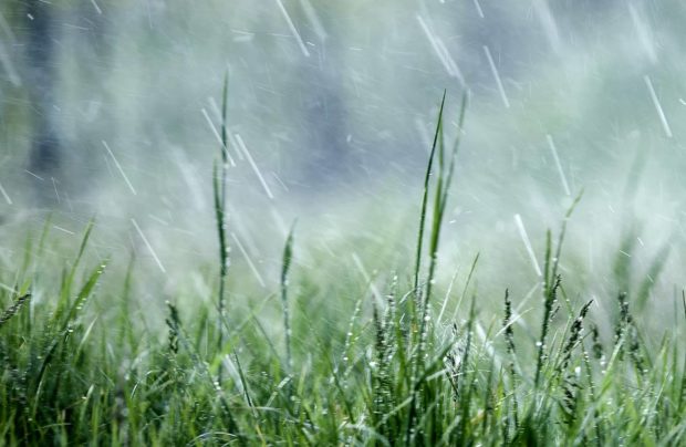 Regenwetter