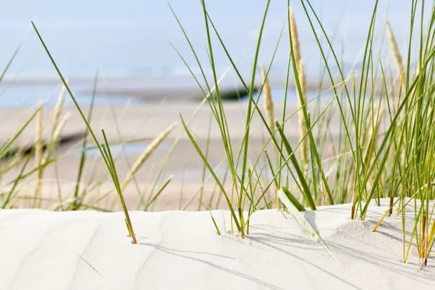 Nordsee