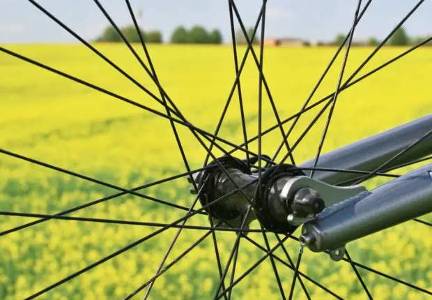 Radfahren an der Nordsee